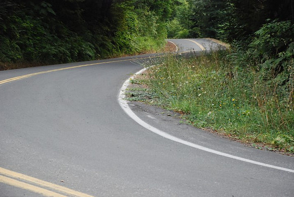 Brower Road-0953