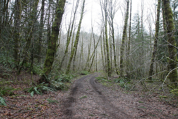 Elk Creek