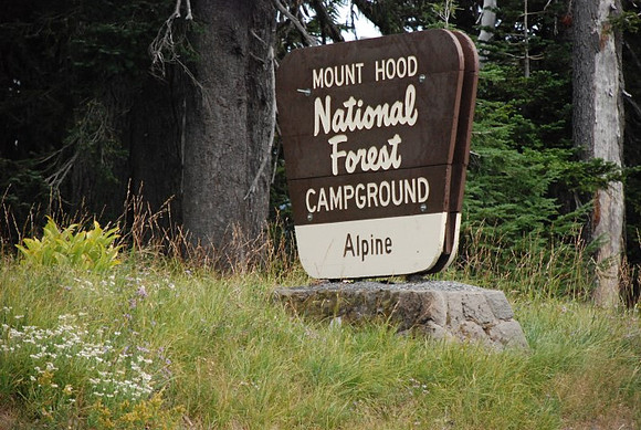 Timberline Road -0811