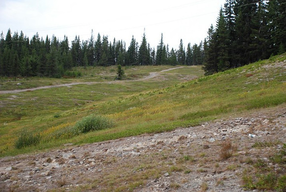 Summit Ski Area-0868