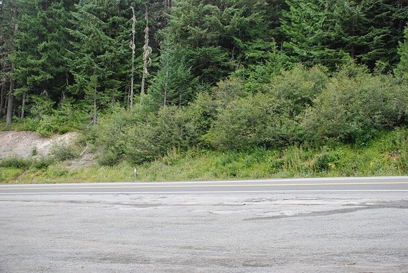 Timberline Road -0853