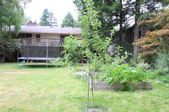 Greenberg Home