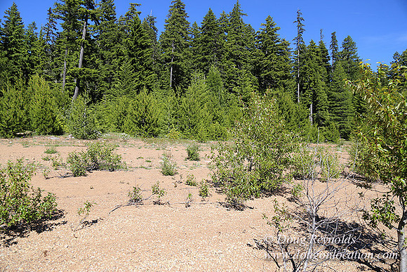 Clear Lake-3471