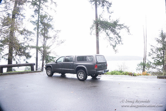 Vashon View