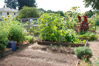 Summers Park Community Garden