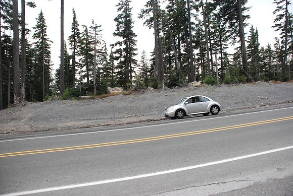 Timberline Road -0848