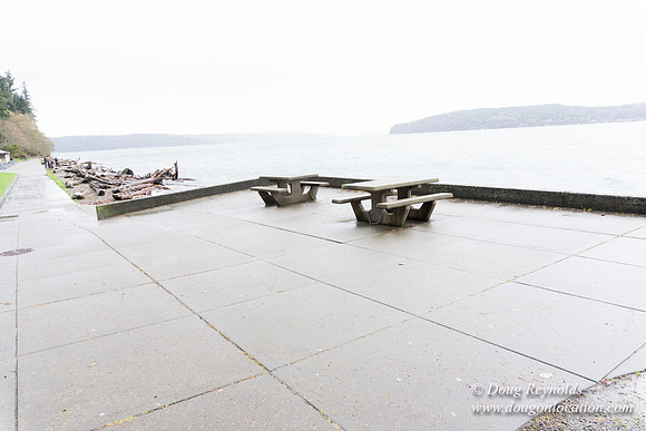 Owen Beach At Pt D
