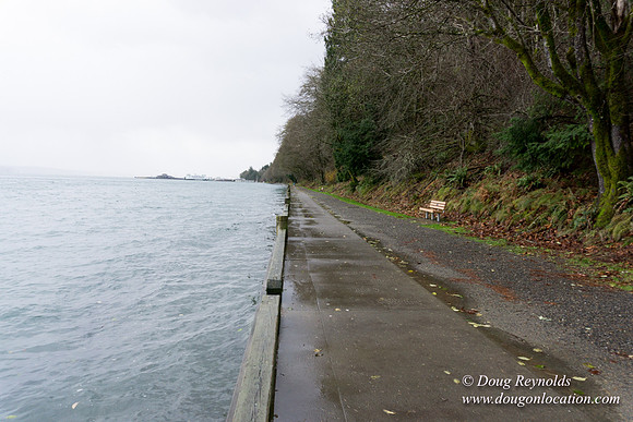 Owen Beach At Pt D