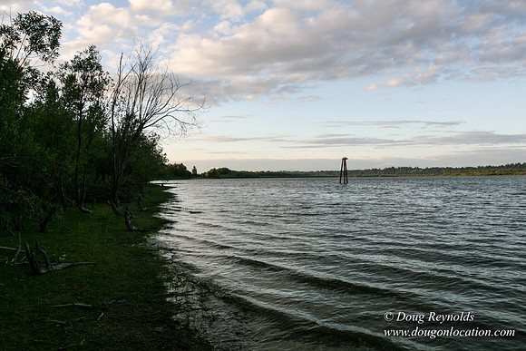 Vancouver Lake Park