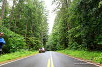 Larch Mt Rd