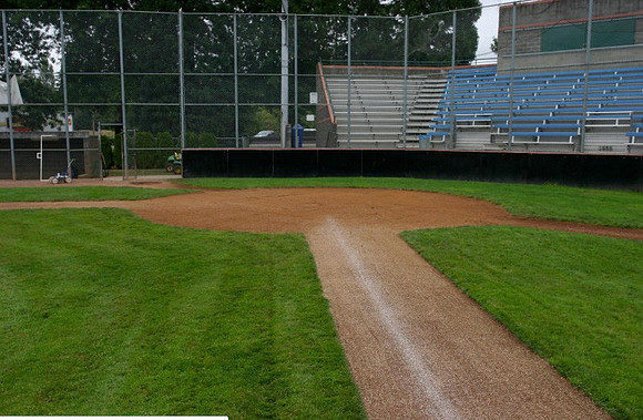 Sckavone Field-0111 copy