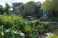 Kennedy community gardens