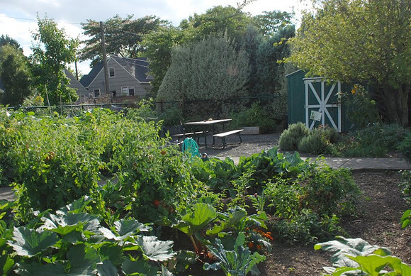 Kennedy community gardens