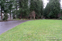 Dalco View