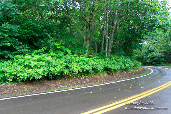 Brower Rd
