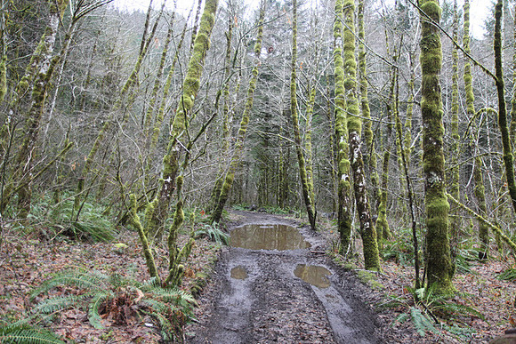 Elk Creek