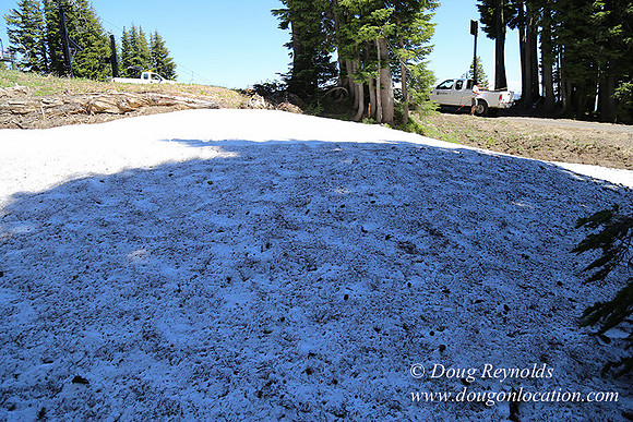 Medow's Snow-5659