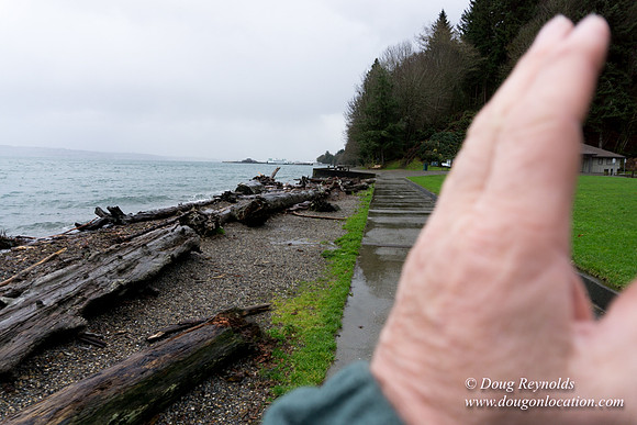 Owen Beach At Pt D