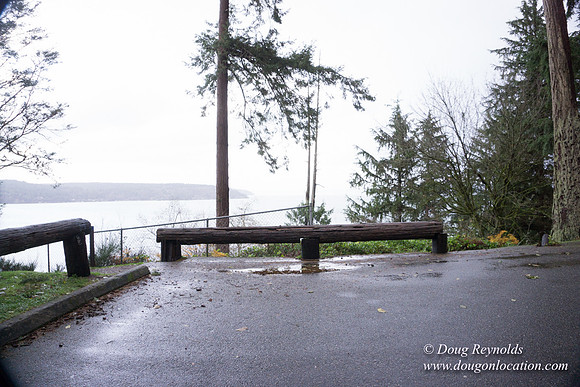 Vashon View