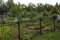 Mt Tabor Park community garden