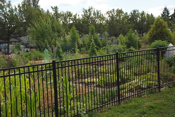 Mt Tabor Park community garden