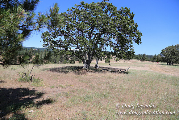 Brothers Ranch-8503