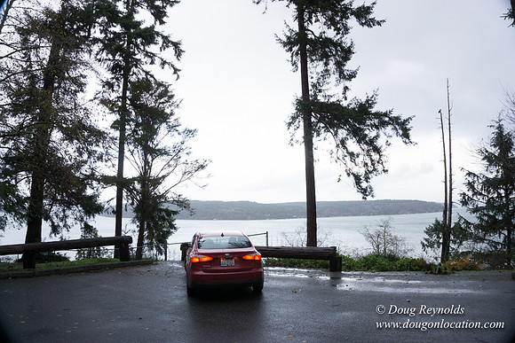 Vashon View
