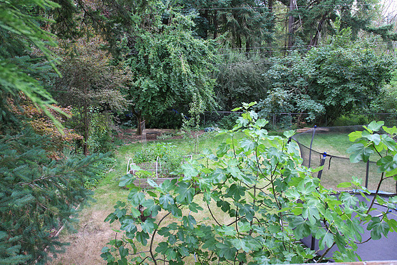 Greenberg Home