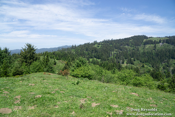 Ranch 26  Green Hill 2-