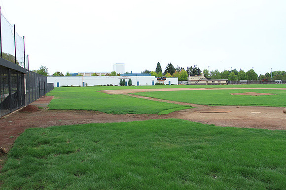 Beaverton Baseball