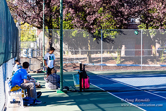 Portland Tennis Courts 3