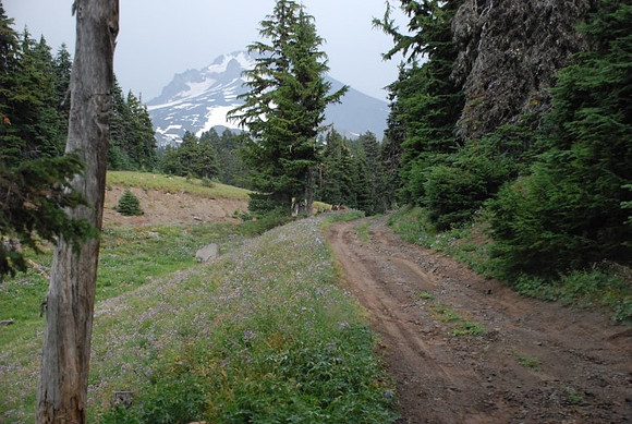 cabins off West Leg Rd-0689