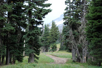 cabins off West Leg Rd-0682