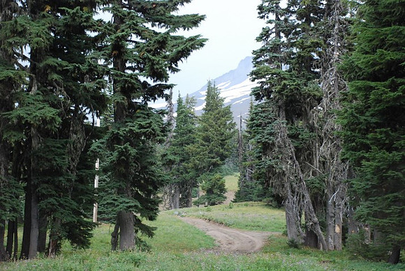 cabins off West Leg Rd-0682