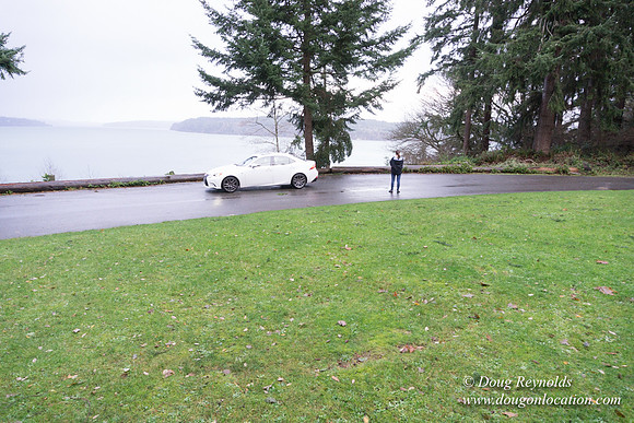 Dalco View