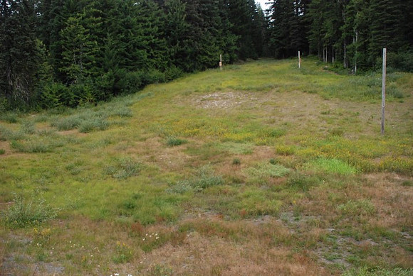 Summit Ski Area-0881
