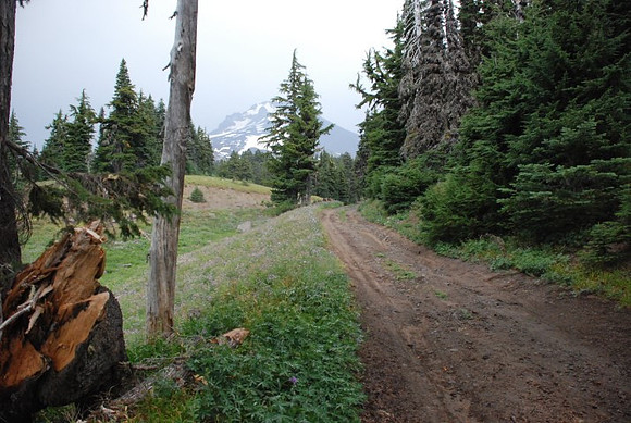 cabins off West Leg Rd-0690