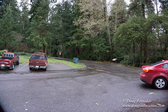 Vashon View