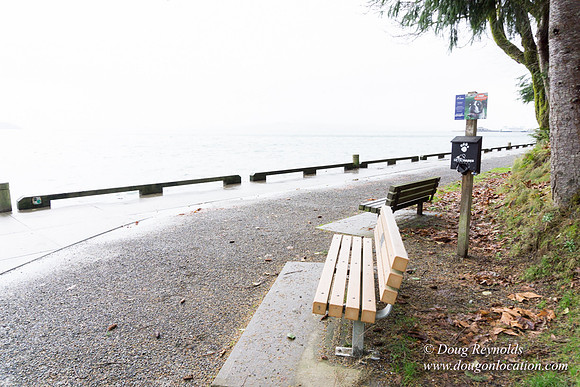 Owen Beach At Pt D