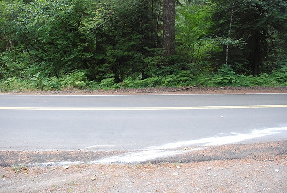 Brower Road-0991