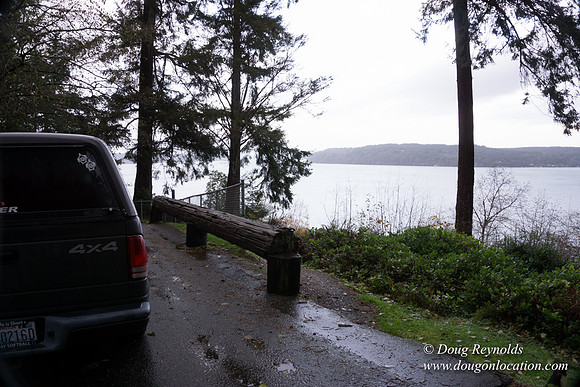 Vashon View