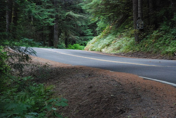 Brower Road-1002
