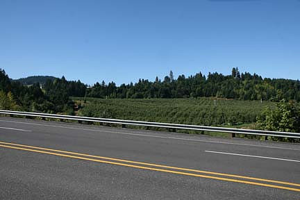 Hwy 35 Parkdale