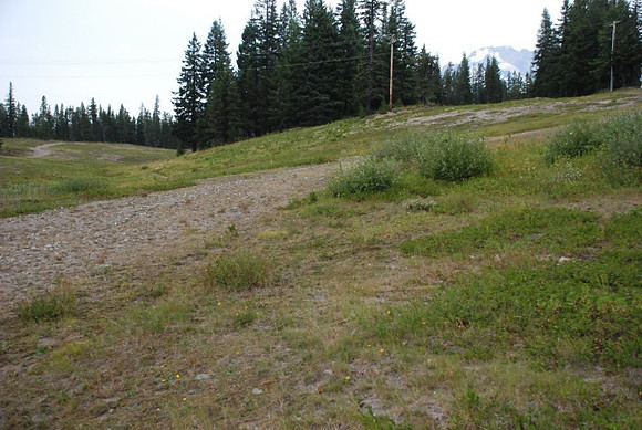 Summit Ski Area-0864