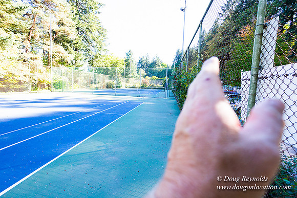 Washington Park Tennis Courts