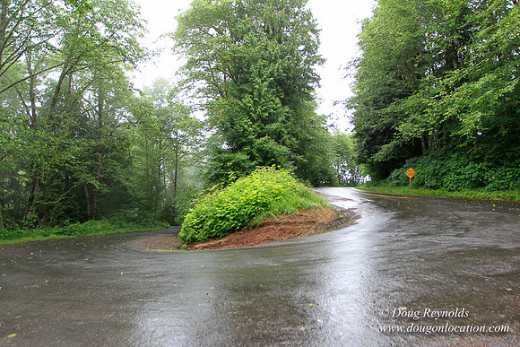 Brower Rd