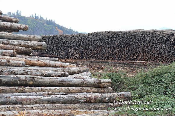 SDS Lumber-1438