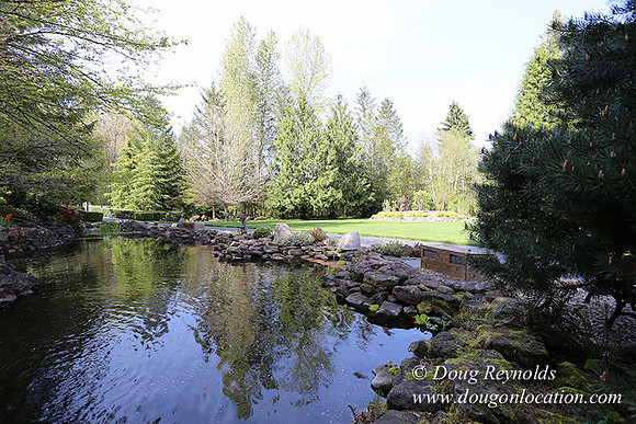 Brians Pond & Drive-9933