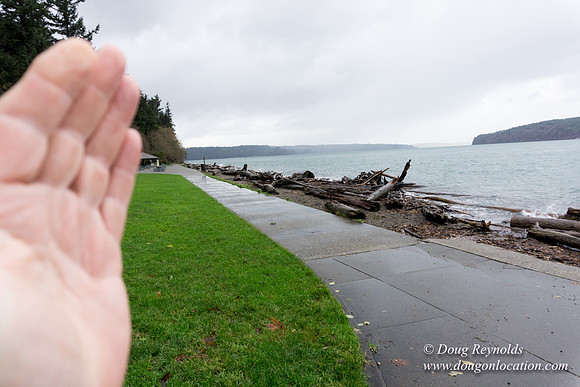 Owen Beach At Pt D