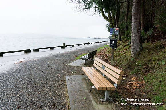 Owen Beach At Pt D